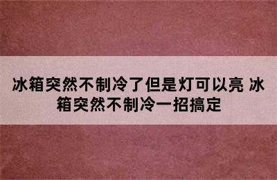 冰箱突然不制冷了但是灯可以亮 冰箱突然不制冷一招搞定